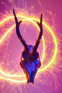 The Power of Energy in Creation